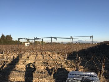 Structure métallique ombrage sur les vignes